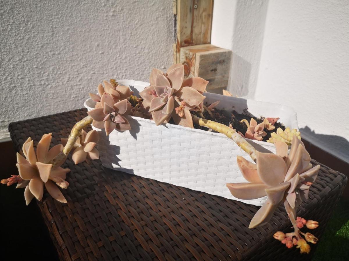 Family Surf Home - Hostel Mafra Exterior photo